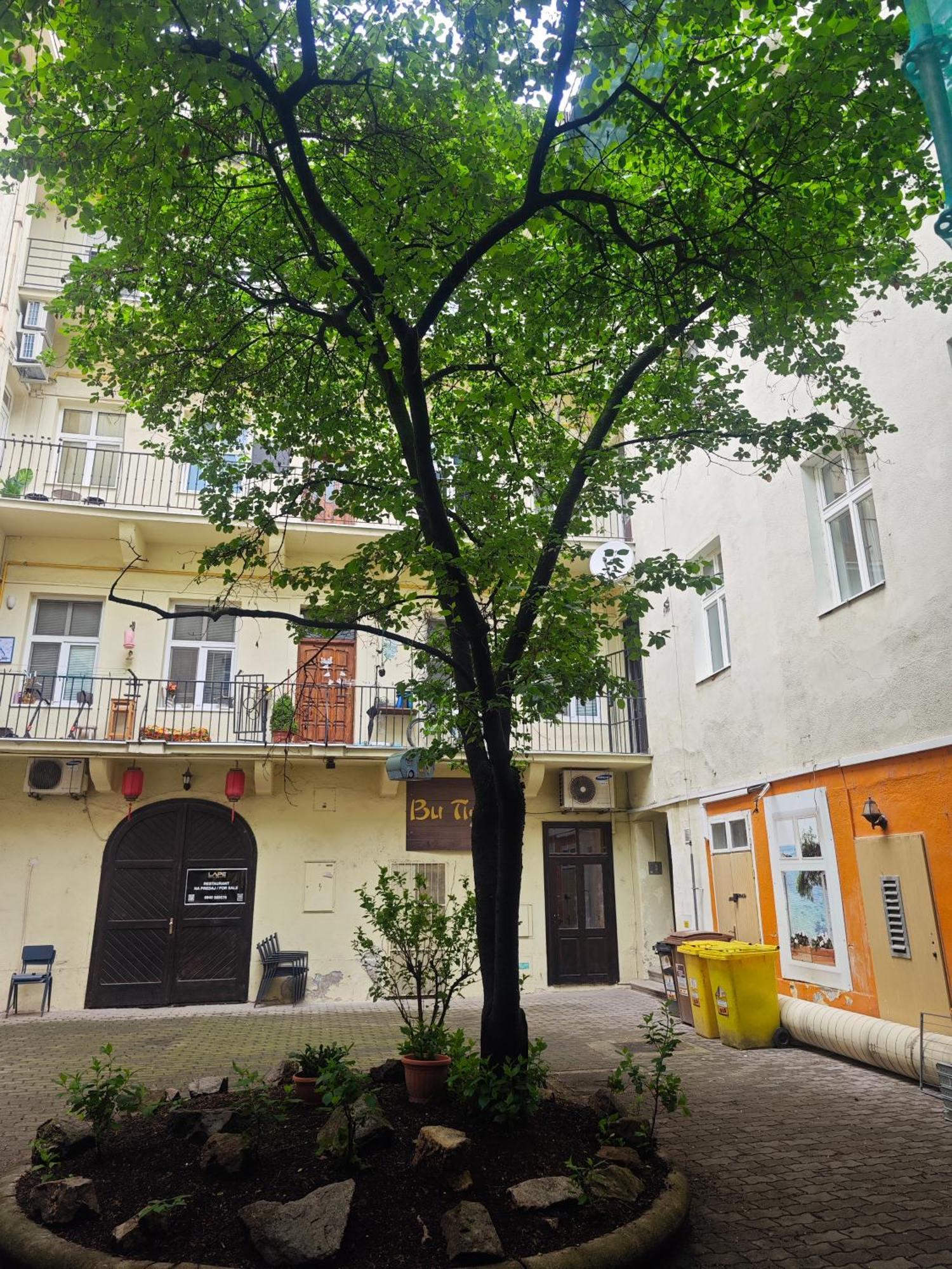 Laurinska Modern Apartment In Direct Centrum Of Bratislava, Air-Condition Экстерьер фото