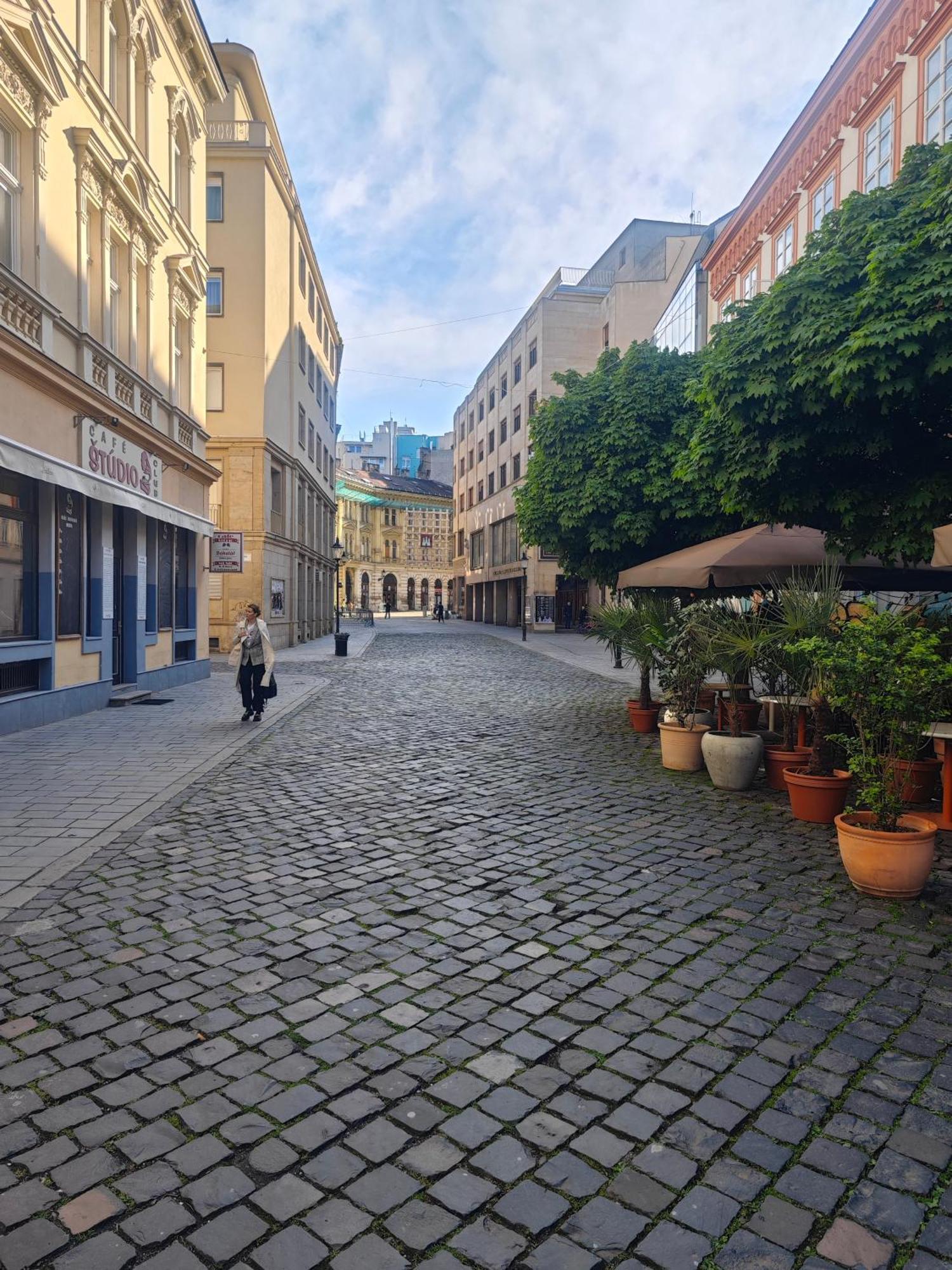 Laurinska Modern Apartment In Direct Centrum Of Bratislava, Air-Condition Экстерьер фото